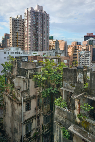 Illustration for article titled These post-apocalypse images of Hong Kong are actually real photos